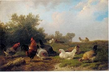 unknow artist Cocks 124 Norge oil painting art